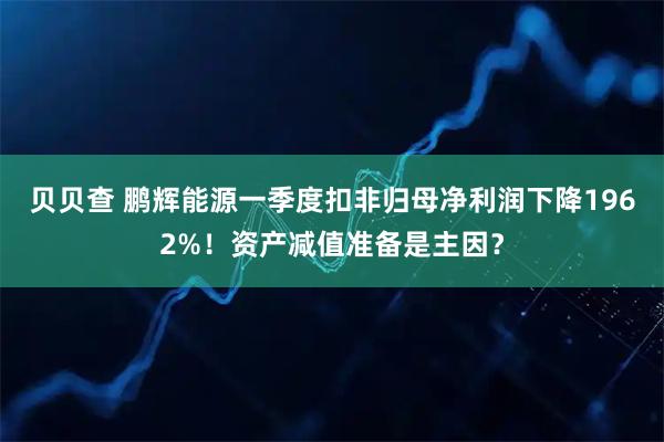 贝贝查 鹏辉能源一季度扣非归母净利润下降1962%!资产减值准备是主因?