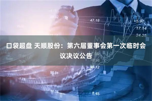 口袋超盘 天顺股份：第六届董事会第一次临时会议决议公告